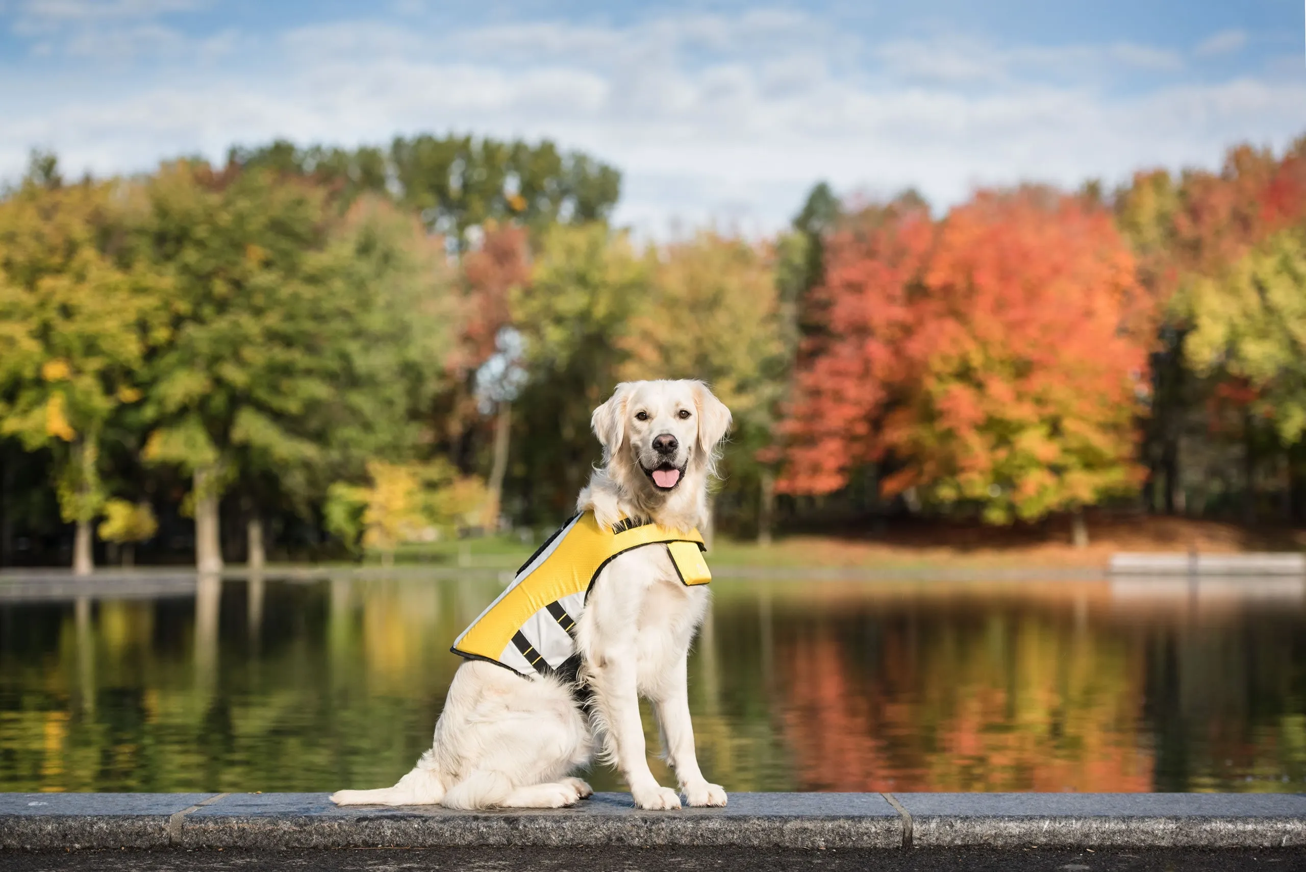 Dog Life Vest Jacket | PetPals®